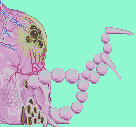 creature13.png - 3245 Bytes